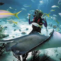 Racha island Phuket beaches thailand