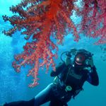 Phuket WestCoast diving sports