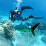 Shark Point andaman sea