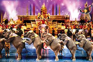 Phuket FantaSea Show experience